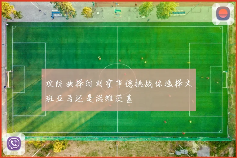 攻防抉择时刻霍华德挑战你选择文班亚马还是诺维茨基